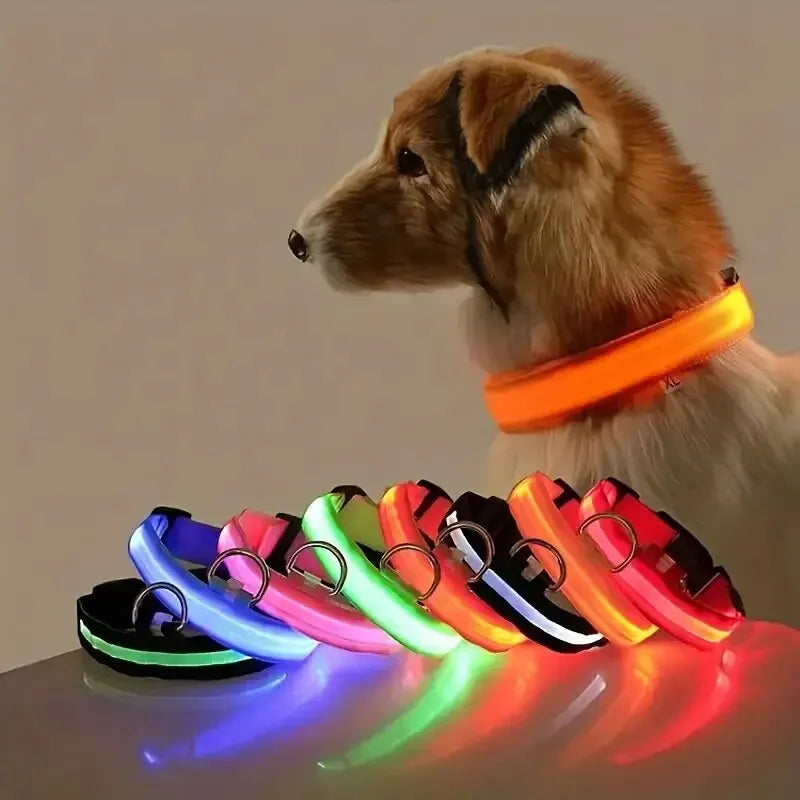 Coleira de Neon para Cachorro de Estimação