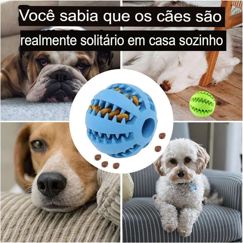 Bola de Borracha de Brinquedo para Cachorros para Limpeza dos Dentes Junto com Alimentador