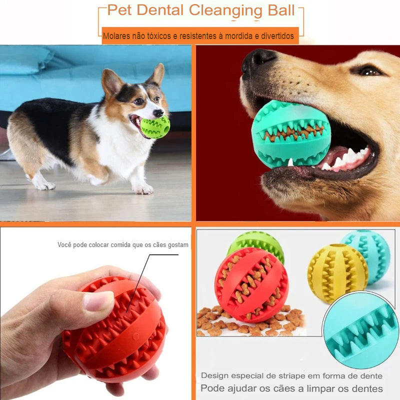 Bola de Borracha de Brinquedo para Cachorros para Limpeza dos Dentes Junto com Alimentador