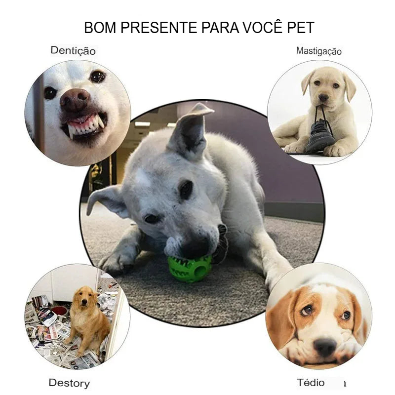 Bola de Borracha de Brinquedo para Cachorros para Limpeza dos Dentes Junto com Alimentador